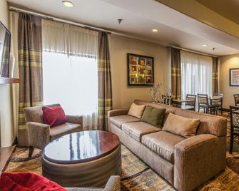 Hampton Inn Colorado Springs-Airport - Colorado Springs - Lounge