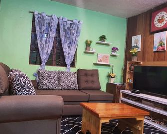 Adelle's Transient, spacious 3-bedroom homestay - Baguio - Living room