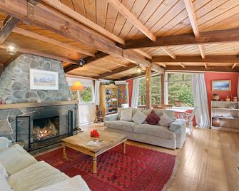 Holiday Chalet in Arthurs Pass - Arthur's Pass - Living room