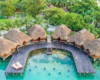 St. George's Caye Resort - בליז סיטי - בריכה