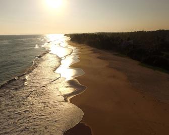 King Coconut Lodge - Talpe - Beach