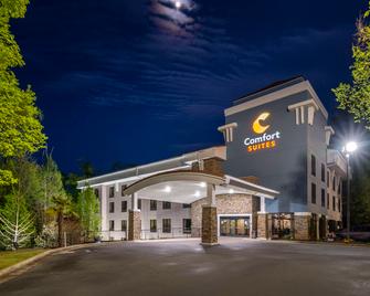 Comfort Suites At Kennesaw State University - Kennesaw - Building