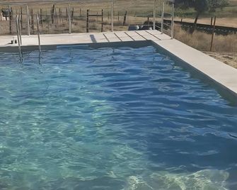 Casa de Campo das Oliveiras - Idanha-a-Nova - Piscina