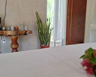 Ecolodge Xocen Birding - Valladolid - Habitación