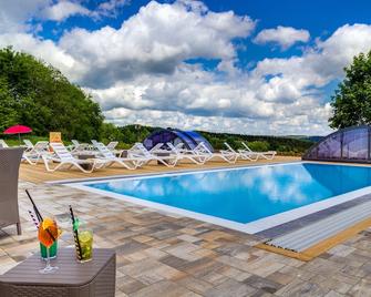 Panorama Berghotel Wettiner Höhe - Seiffen - Pool