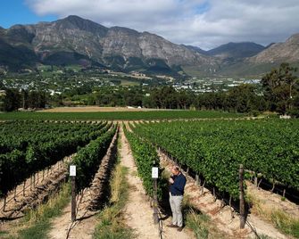 Mont Rochelle - Franschhoek - Outdoor view