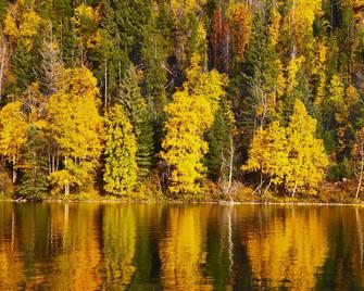 Loons Nest - Cozy, secluded 4 bedroom log cabin in the heart of the wilderness! - Gold Bridge - Vista del exterior