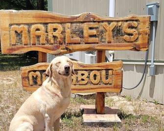 Cozy cabin near the Niangua river and Bennet Springs State park. Pet friendly ! - Lebanon