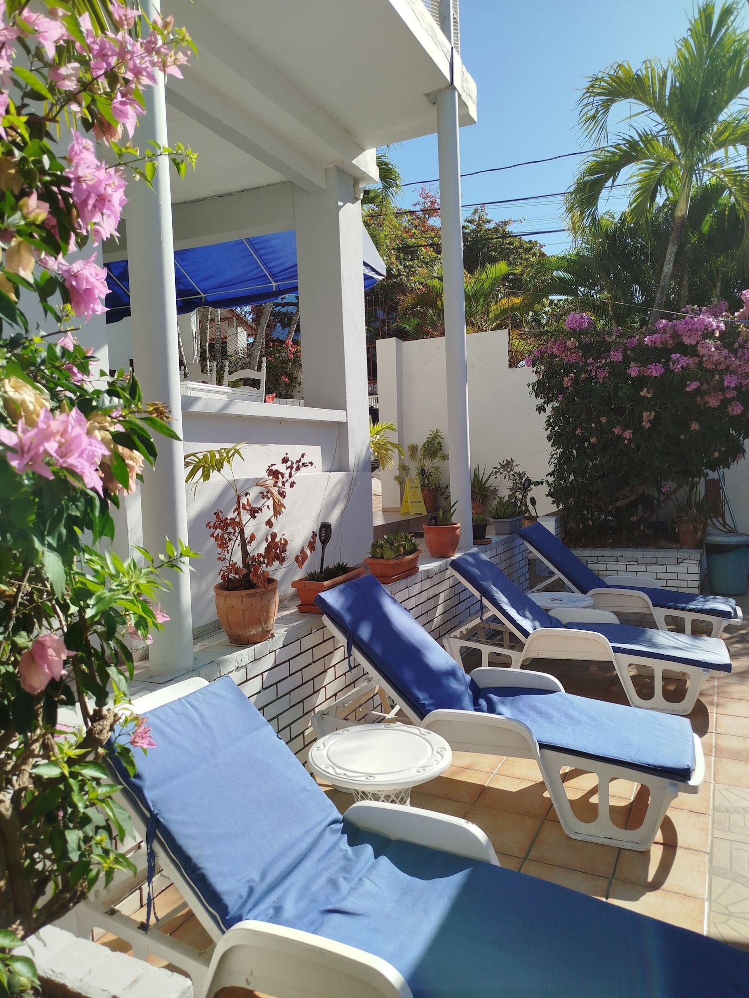 Hotel Casa Coco - Boca Chica - Patio