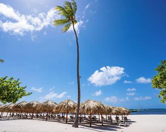 Bakour Punta Cana Suites - Punta Cana - Playa