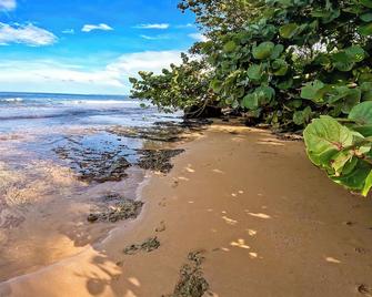 Toucan Hill Lodge - Bocas del Toro - Playa
