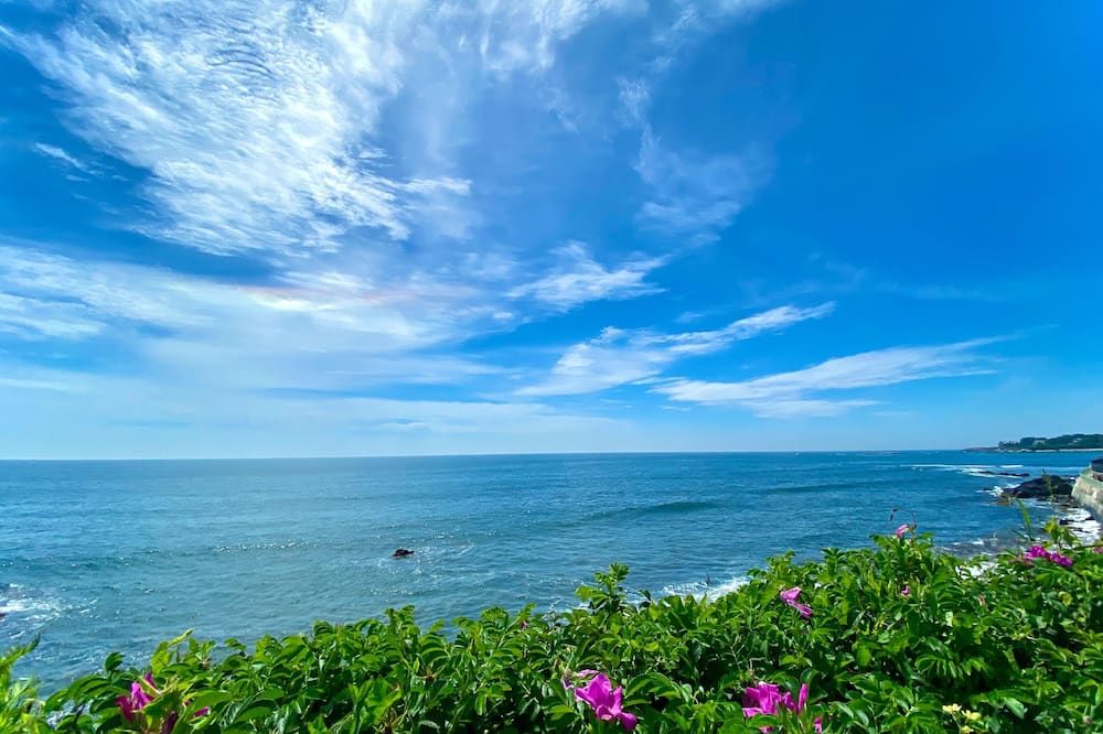 Atlantic Beach Hotel Newport thumbnail 3