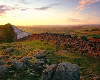 The Hollies on the Wall - Carlisle