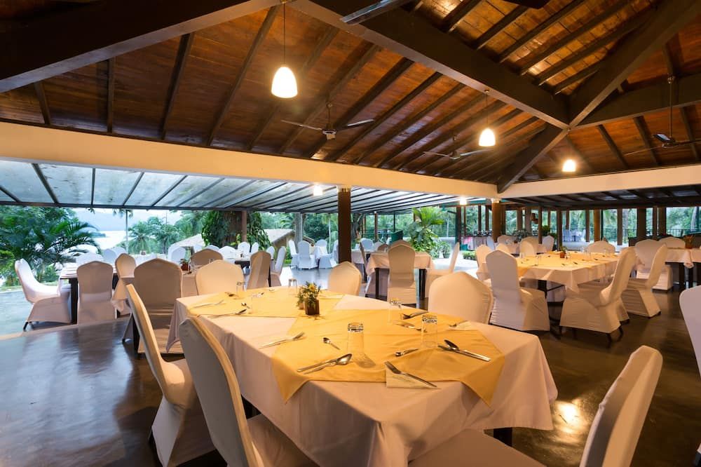 أوروثوتا شاليز