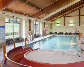 2 Bedroom Cottage @ Christmas Mountain Village Resort, Golf/Ski, Wisconsin Dells - Wisconsin Dells - Piscina