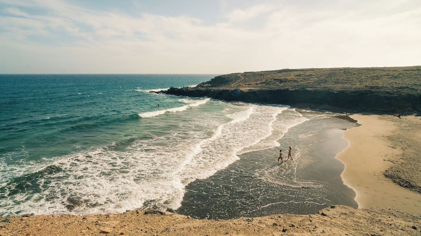 Aloe Vera Shared House