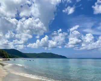 Walk To Cane Bay Beach Cottage - End Unit With Mountain Views - Kingshill - Beach