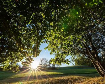 Wohlfuehloase Im Gruenen Lindensalettl - Breitenberg - Vista del exterior