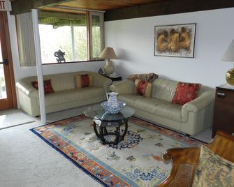 Berkshire Mountain House - Stephentown - Living room