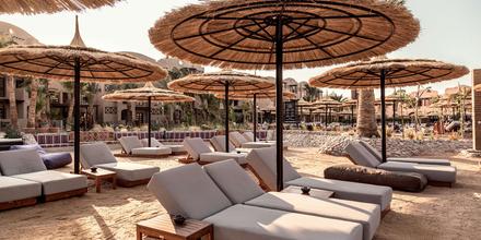 Image of hotel: Cook's Club El Gouna - Adults Only