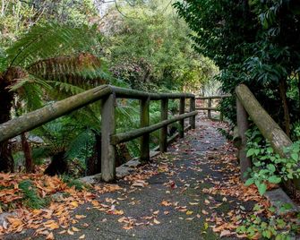 Linaker Art Deco Motel - Beechworth - Utomhus