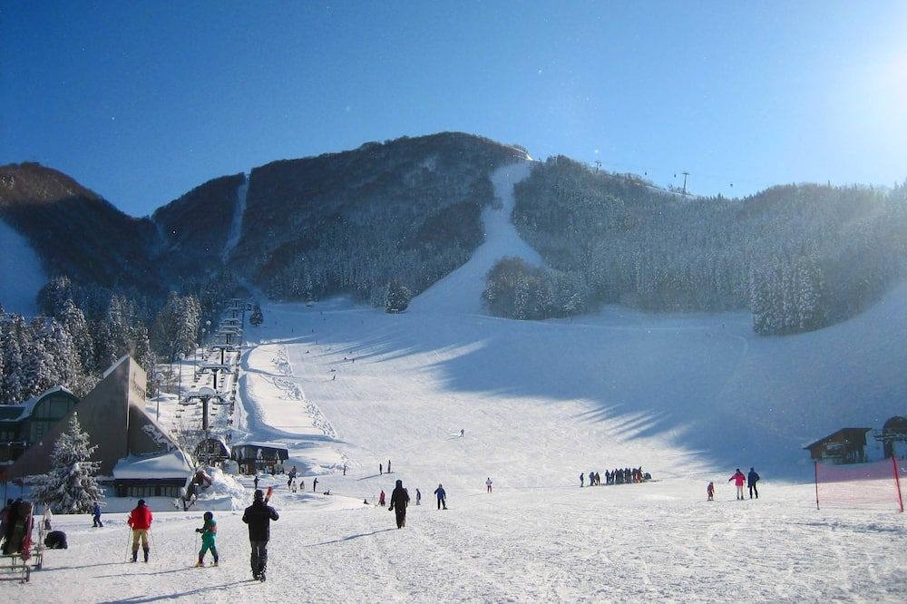 Nozawaonsen Guest House Miyazawa - Nozawa Onsen - שירותי מקום האירוח