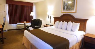阿比林戴斯酒店 - 阿比林 - 阿比林（得克薩斯州） - 臥室