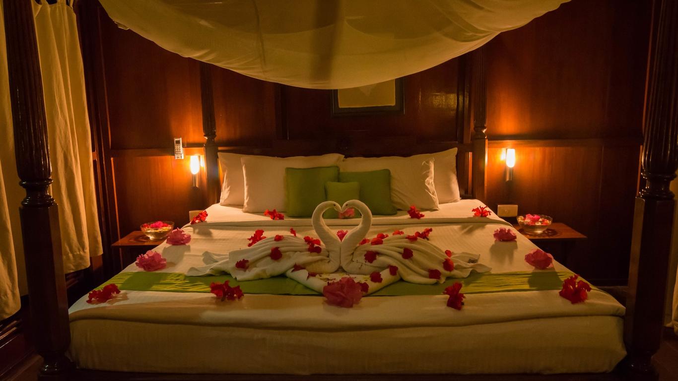 The Barefoot At Havelock