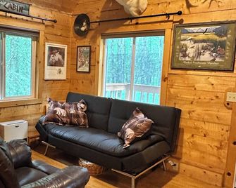 Rustic and cozy cabin with all new amenities near beautiful Hatcher’s Pass - Palmer - Living room