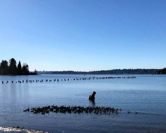 2 Mi to St Edward State Park: Ground-Level Studio - Kenmore