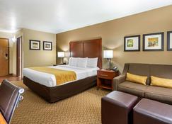 Comfort Inn & Suites Springfield I-44 - Спрингфилд - Спальня