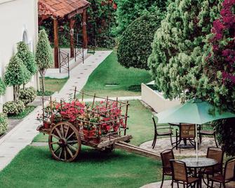 Hotel Mirador Plaza - סן סלבדור - פטיו