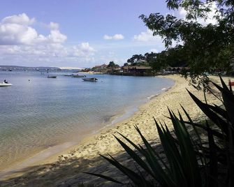 Grand duplex (classified 2) Cap Ferret -l' Herbe- Bassin d'Arcachon.3323600006849 - Lège-Cap-Ferret - Beach