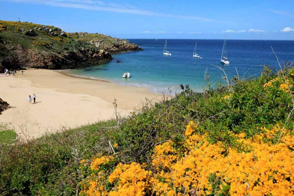 إيبيس أوراي