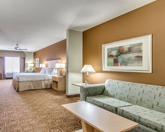 Holiday Inn Express & Suites Lubbock Southwest - Wolfforth By IHG - Wolfforth - Habitación