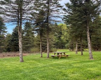 4 Private RV Campsites surrounded by \'Knotty Pines\', Minutes from ORV Trails. - Luther - Patio