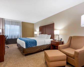 Comfort Inn Binghamton I-81 - Binghamton - Bedroom