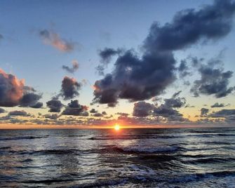 Beautiful and luxurious chalet for 4 persons 500 m from the sea. - Petten - Plage