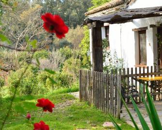 Casa Rural Ahoraya - Benarraba - Patio