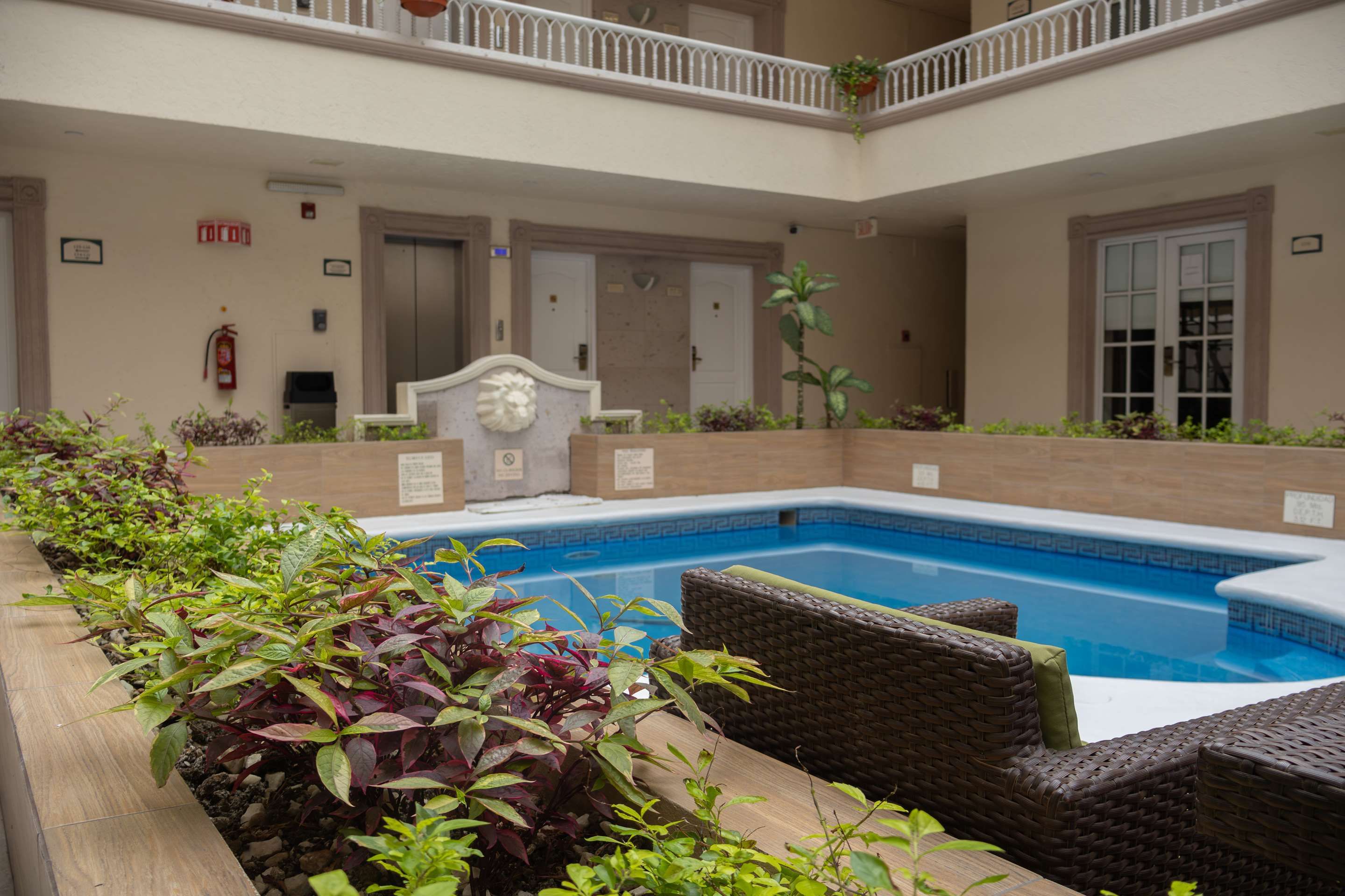 بست وسترن بلس مونتيري كولون - مونترّي - حوض السباحة