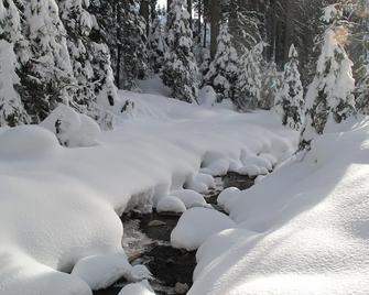 Holiday in the heart of the Dolomites - Nova Levante - Caratteristiche struttura