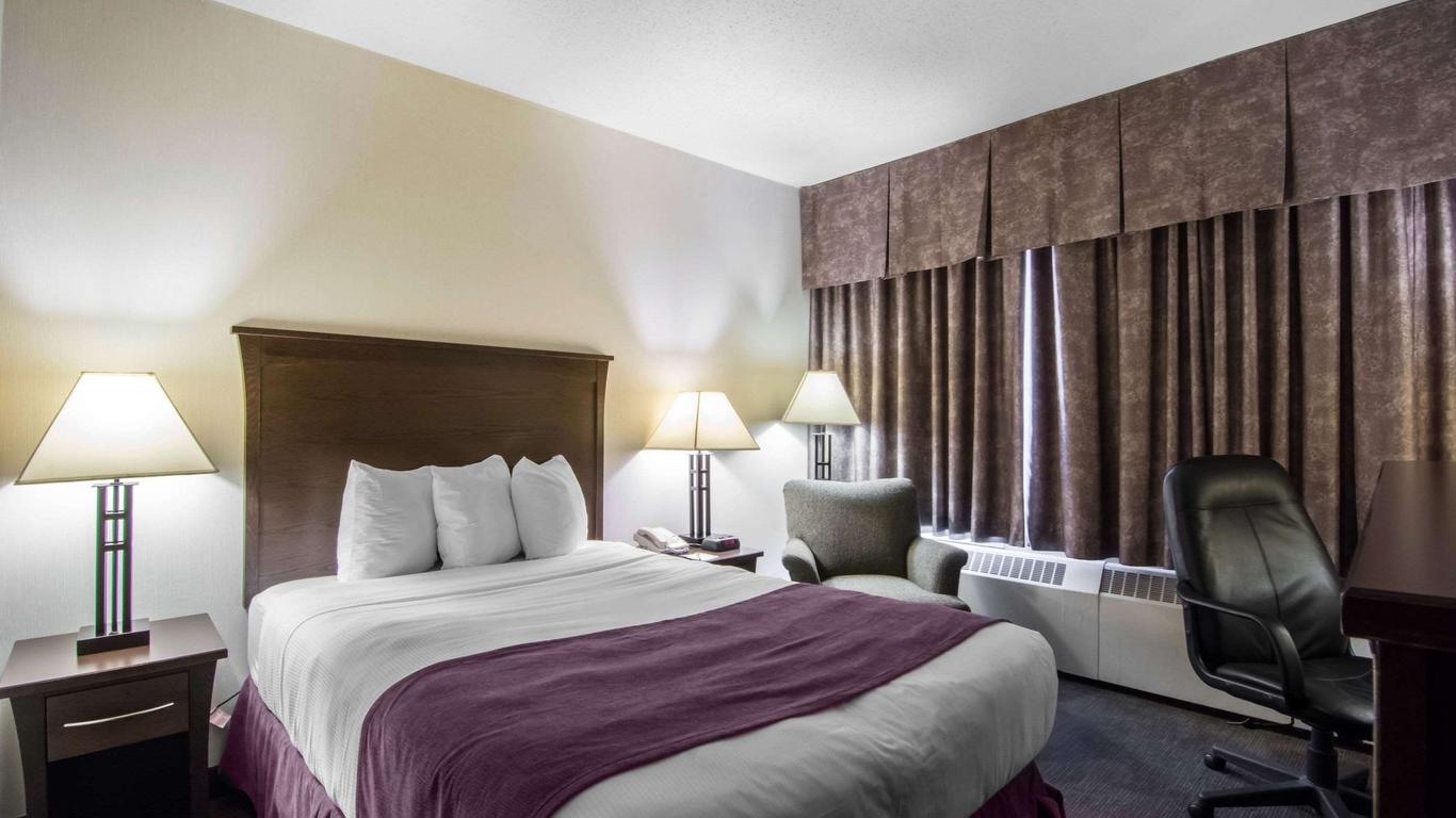 كواليتي إن آند سويتس يلو نايف