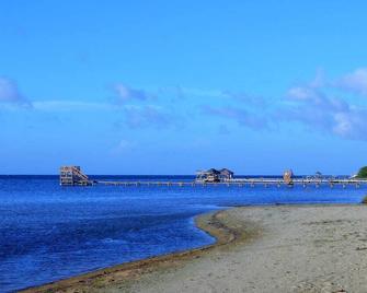 Beachfront Villa! Snorkel & Explore The Amazing Reef! Experience Caribbean Life! - Sandy Bay - Beach