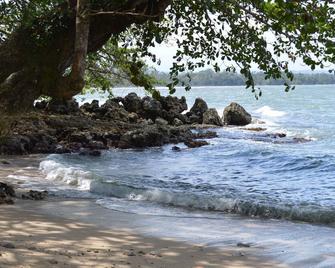 Jungle charm minutes from the Caribbean - Cahuita - Beach