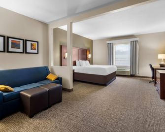 Comfort Suites Goodlettsville Rivergate - Goodlettsville - Schlafzimmer