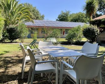 Résidence Thibaud - Toulouse - Patio