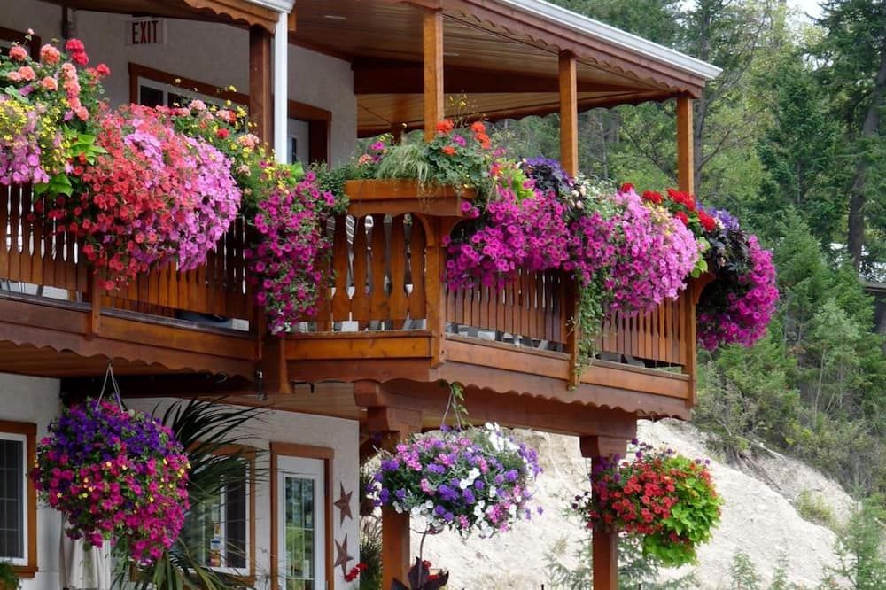 Gateway Motel - Radium Hot Springs - Extérieur