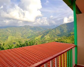 don joaquin - Buenavista - Balcón