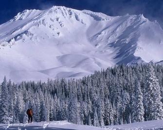 The Mccloud Vacation Home On Mt. Shasta Sleeps 10+, Free Wifi - McCloud - Property amenity