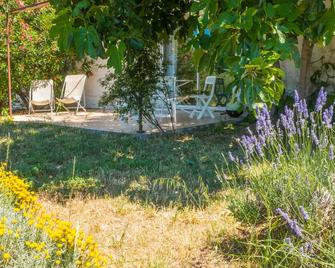 Beautiful holiday home with pool - Autignac - Patio